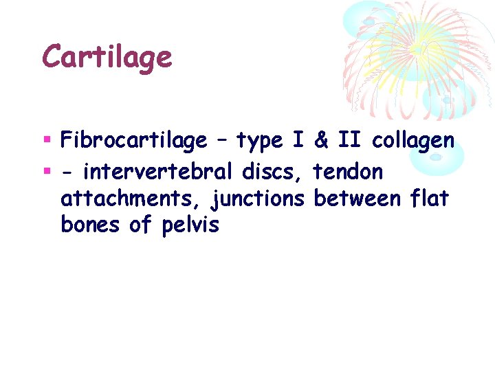 Cartilage Fibrocartilage – type I & II collagen - intervertebral discs, tendon attachments, junctions