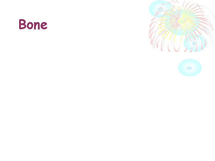 Bone 
