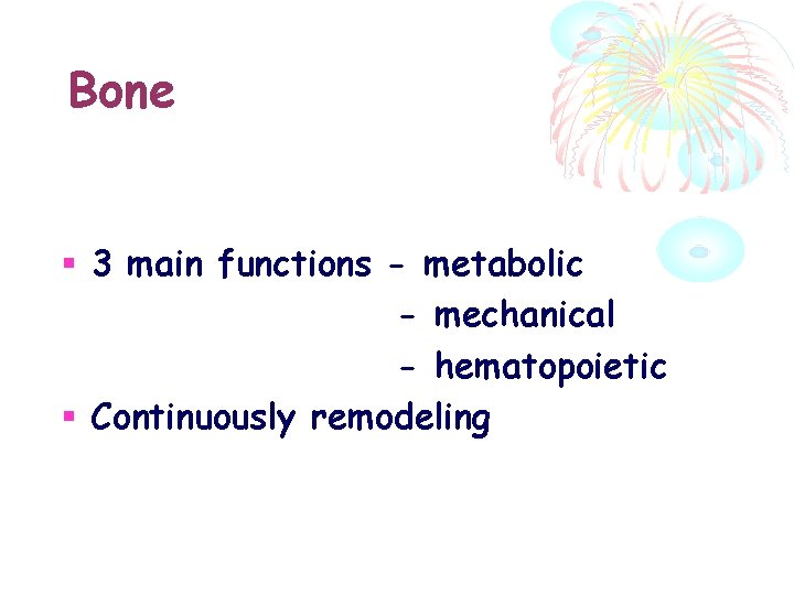 Bone 3 main functions - metabolic - mechanical - hematopoietic Continuously remodeling 