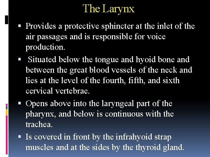 The Larynx Provides a protective sphincter at the inlet of the air passages and