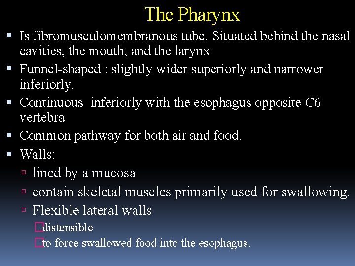 The Pharynx Is fibromusculomembranous tube. Situated behind the nasal cavities, the mouth, and the