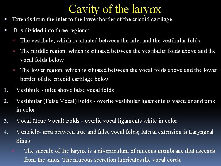 Cavity of the larynx Extends from the inlet to the lower border of the