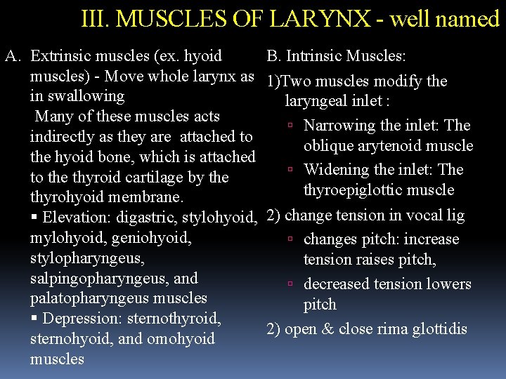 III. MUSCLES OF LARYNX - well named A. Extrinsic muscles (ex. hyoid muscles) -