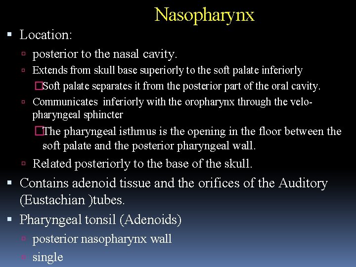 Nasopharynx Location: posterior to the nasal cavity. Extends from skull base superiorly to the