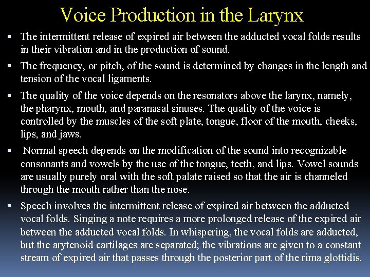 Voice Production in the Larynx The intermittent release of expired air between the adducted