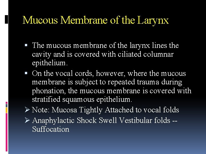 Mucous Membrane of the Larynx The mucous membrane of the larynx lines the cavity