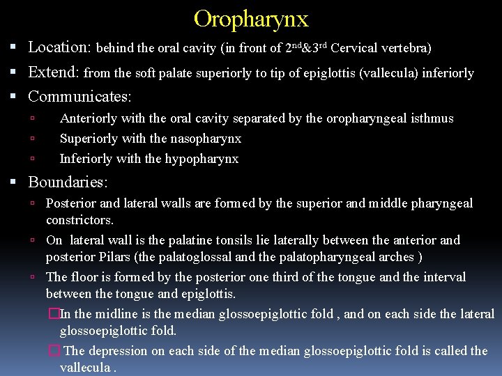 Oropharynx Location: behind the oral cavity (in front of 2 nd&3 rd Cervical vertebra)