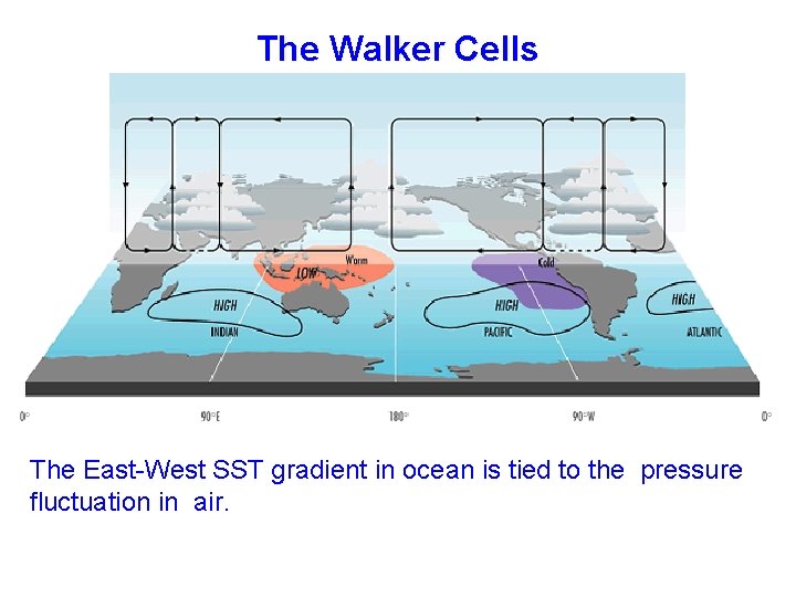 The Walker Cells The East-West SST gradient in ocean is tied to the pressure