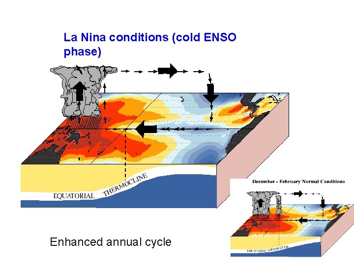 La Nina conditions (cold ENSO phase) Enhanced annual cycle 