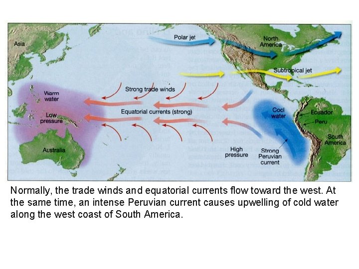 Normally, the trade winds and equatorial currents flow toward the west. At the same