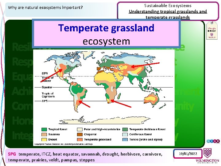 Why are natural ecosystems important? Sustainable Ecosystems Understanding tropical grasslands and temperate grasslands Temperate