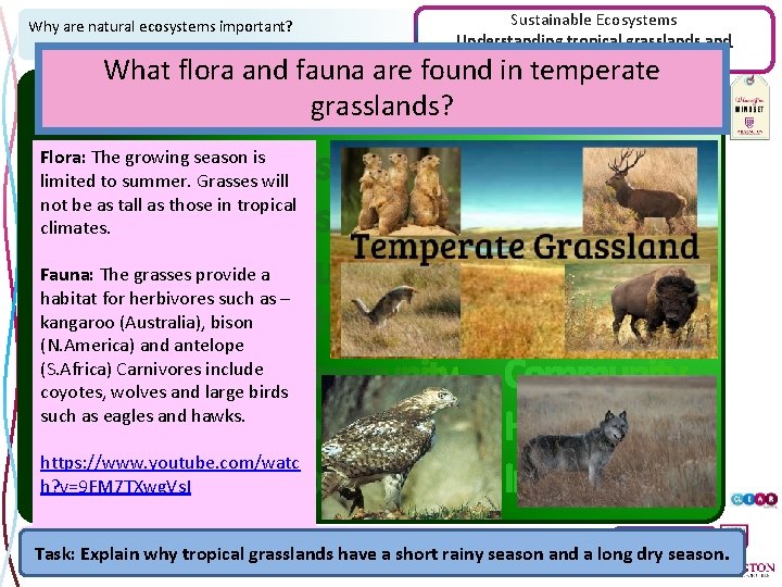 Why are natural ecosystems important? Sustainable Ecosystems Understanding tropical grasslands and temperate grasslands What