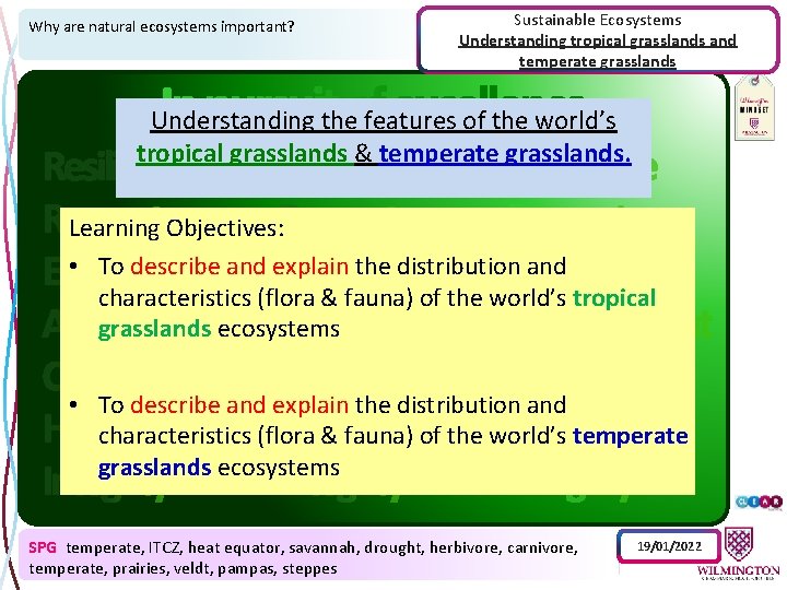 Why are natural ecosystems important? Sustainable Ecosystems Understanding tropical grasslands and temperate grasslands Understanding