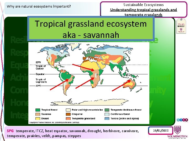 Why are natural ecosystems important? Sustainable Ecosystems Understanding tropical grasslands and temperate grasslands Tropical