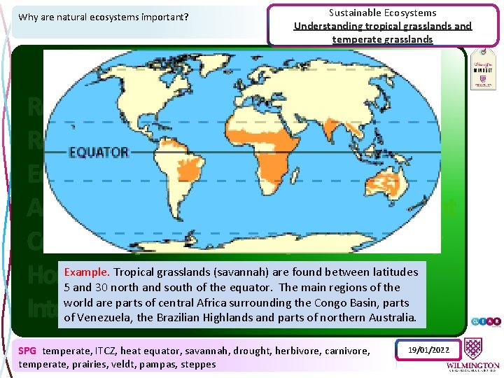 Why are natural ecosystems important? Sustainable Ecosystems Understanding tropical grasslands and temperate grasslands Example.