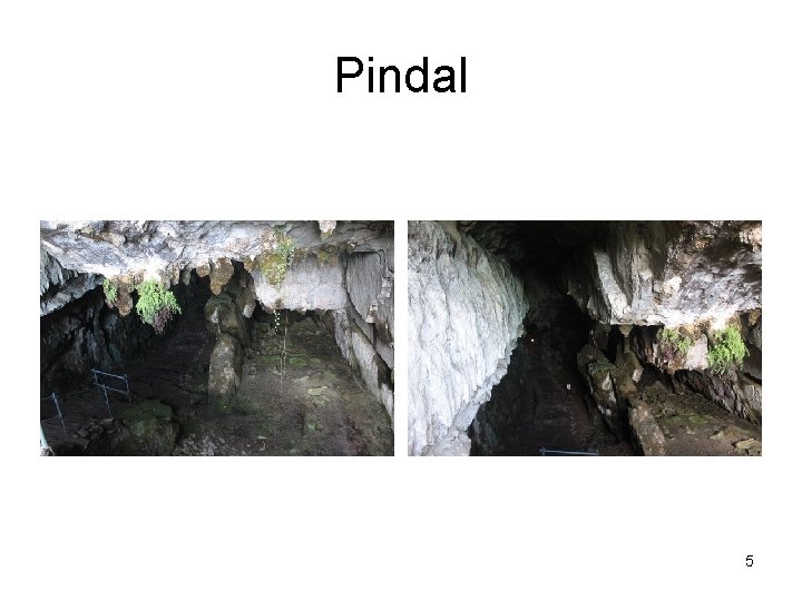 Pindal 5 