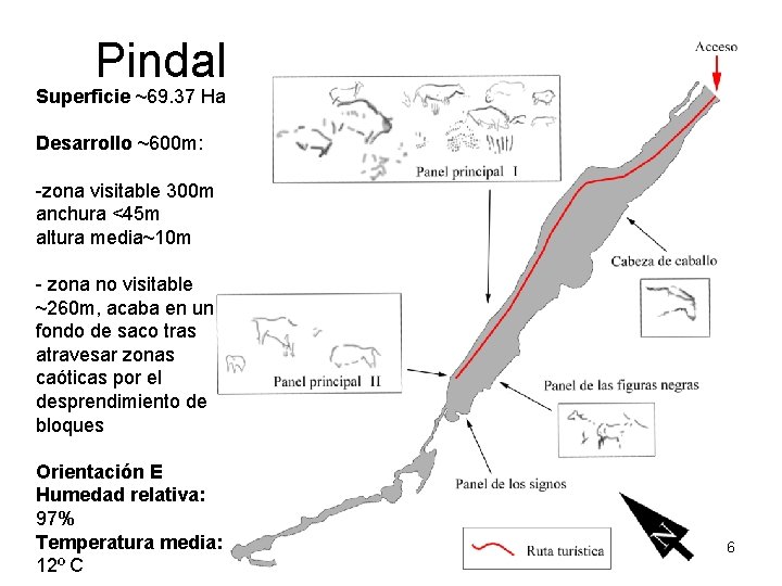 Pindal Superficie ~69. 37 Ha Desarrollo ~600 m: -zona visitable 300 m anchura <45