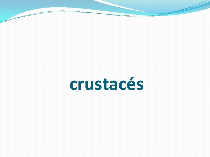 crustacés 