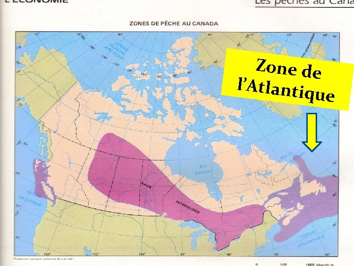 Zones de pêche au Canada Zone d e l’Atlantiq ue 