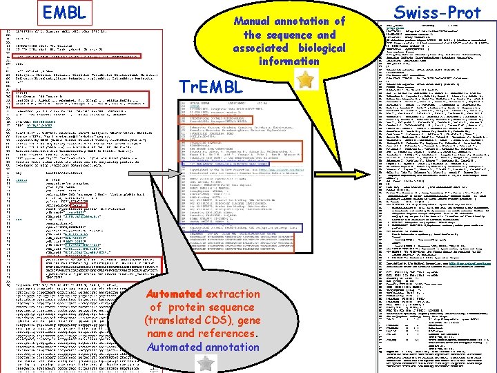 EMBL Manual annotation of the sequence and associated biological information Tr. EMBL Automated extraction