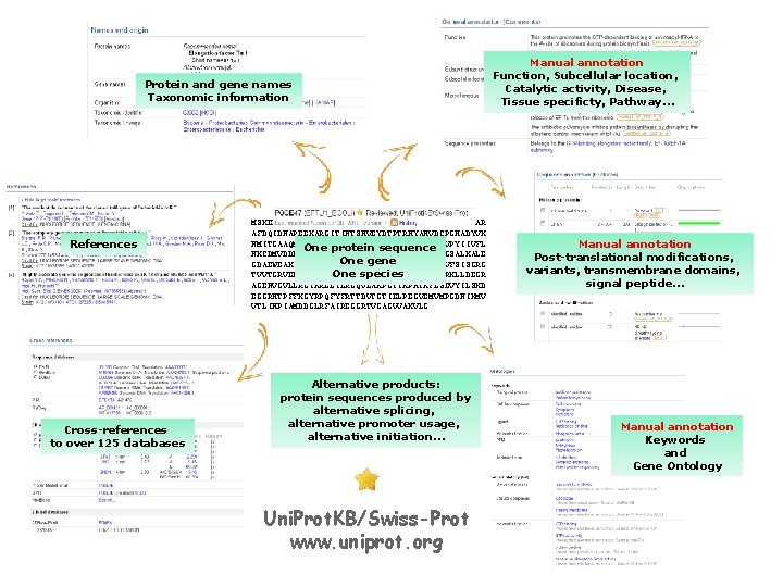 Protein and gene names Taxonomic information References Cross-references to over 125 databases MSKEKFERTKPHVNVGTIGHVDHGKTTLTAAITTVLAKTYGGAAR AFDQIDNAPEEKARGITINTSHVEYDTPTRHYAHVDCPGHADYVK