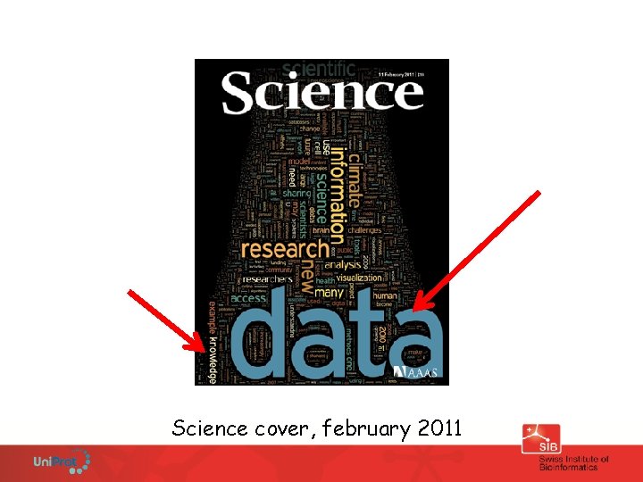 Science cover, february 2011 