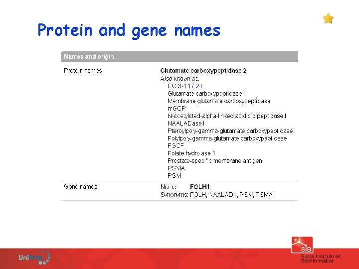 Protein and gene names 