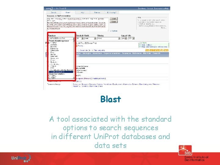 Blast A tool associated with the standard options to search sequences in different Uni.