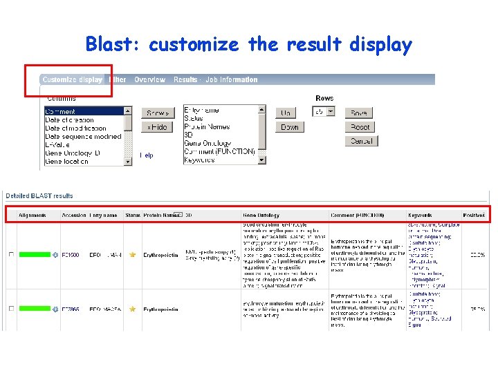 Blast: customize the result display 