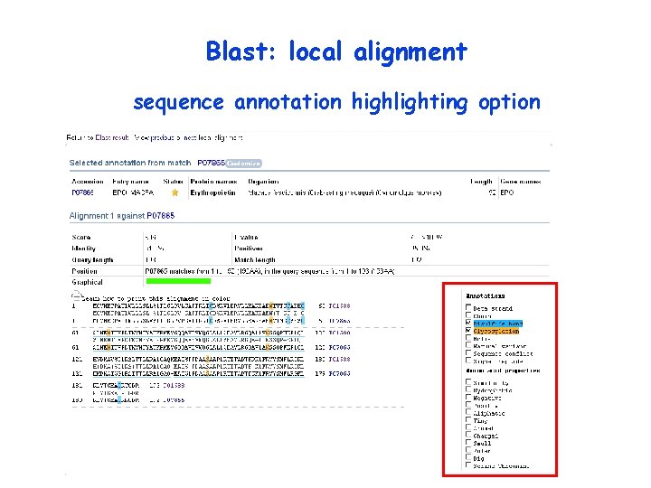 Blast: local alignment sequence annotation highlighting option 