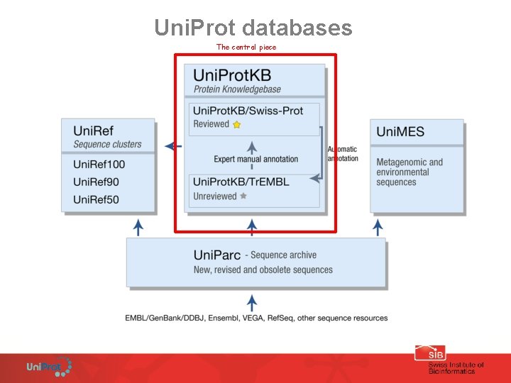 Uni. Prot databases The central piece 