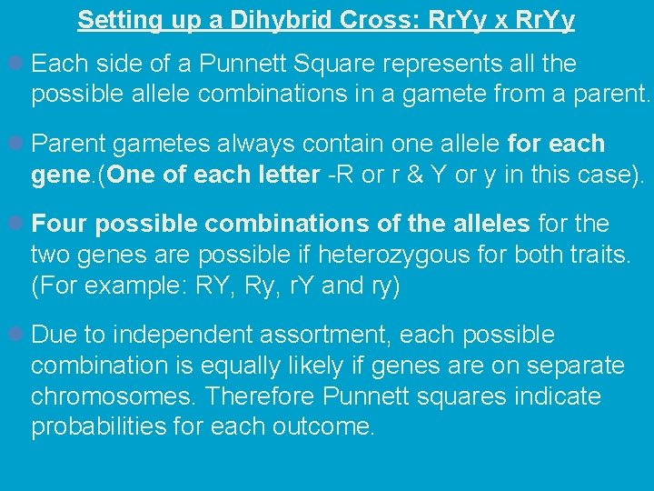 Setting up a Dihybrid Cross: Rr. Yy x Rr. Yy l Each side of