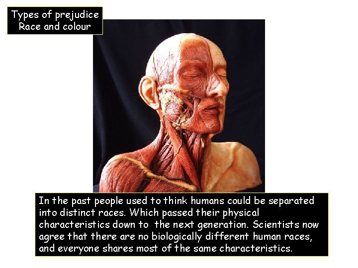 Types of prejudice Race and colour In the past people used to think humans