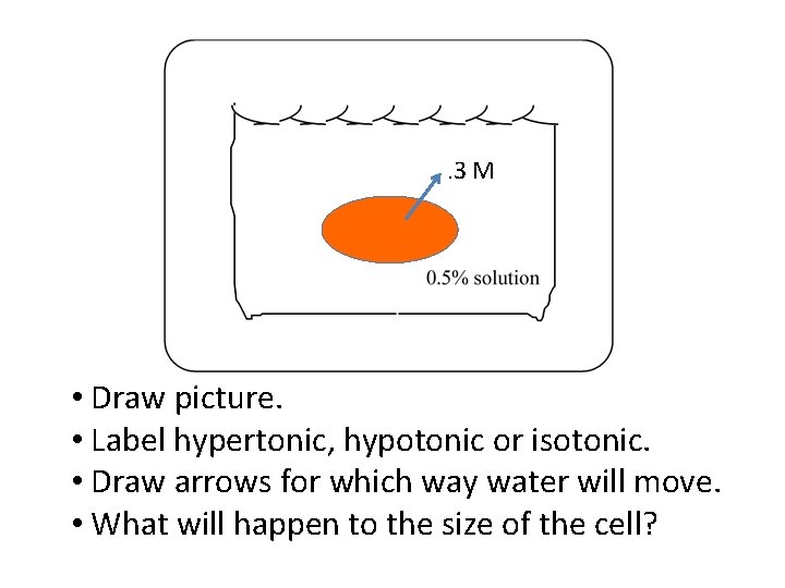 . 3 M • Draw picture. • Label hypertonic, hypotonic or isotonic. • Draw