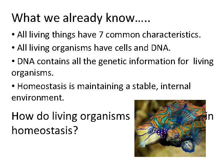 What we already know…. . • All living things have 7 common characteristics. •