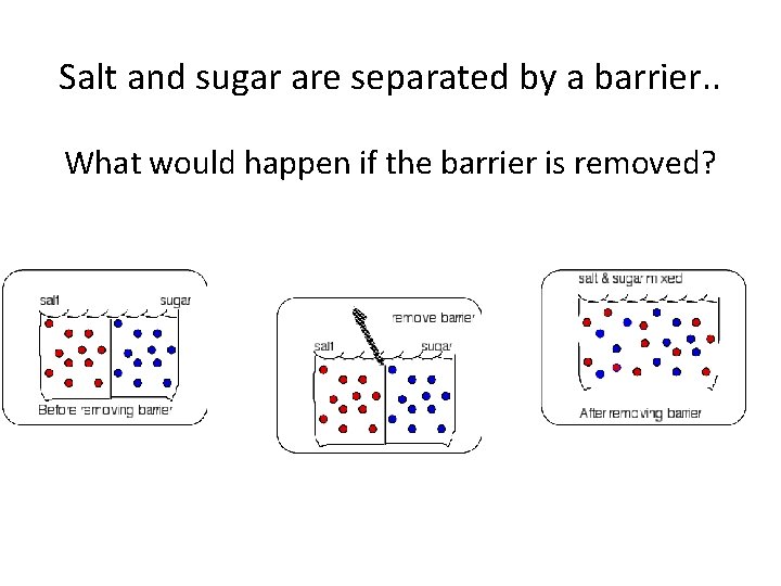 Salt and sugar are separated by a barrier. . What would happen if the