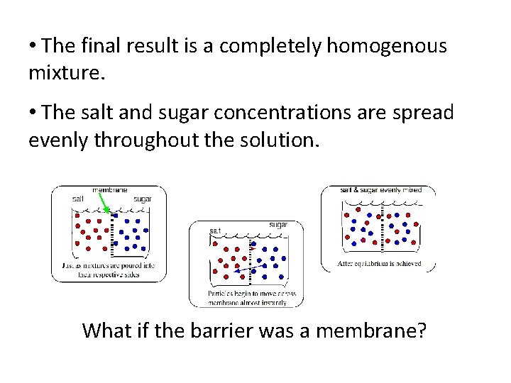  • The final result is a completely homogenous mixture. • The salt and