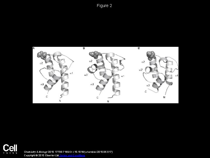 Figure 2 Chemistry & Biology 2010 17705 -716 DOI: (10. 1016/j. chembiol. 2010. 05.