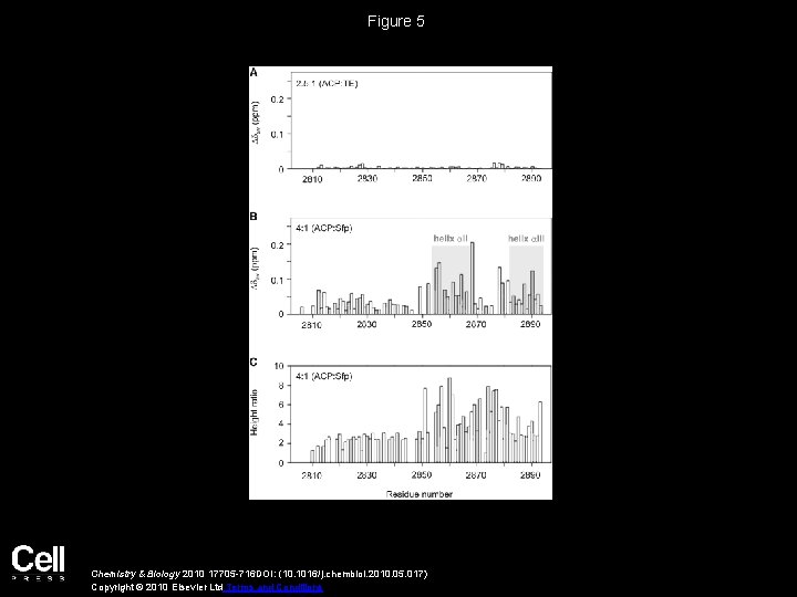 Figure 5 Chemistry & Biology 2010 17705 -716 DOI: (10. 1016/j. chembiol. 2010. 05.