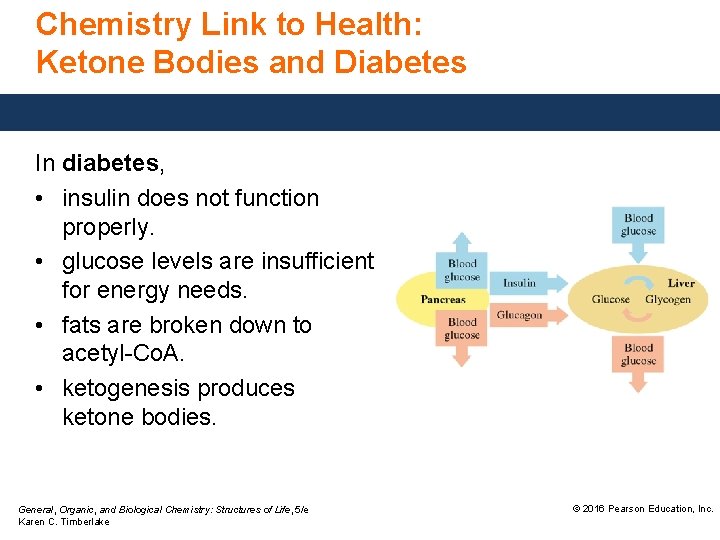 24 4 Ketogenesis and Ketone Bodies The accumulation