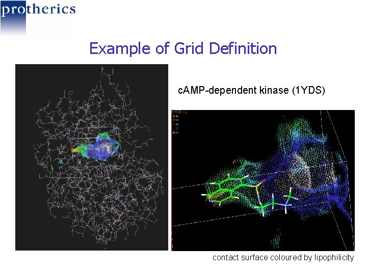 Example of Grid Definition c. AMP-dependent kinase (1 YDS) contact surface coloured by lipophilicity
