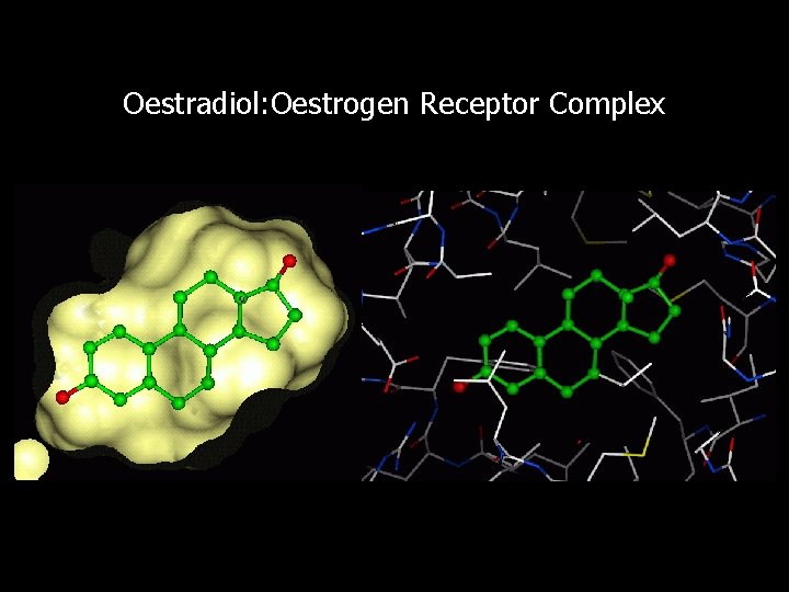 Oestradiol: Oestrogen Receptor Complex 