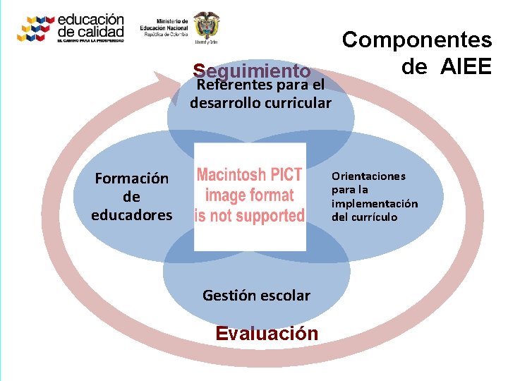 Seguimiento Referentes para el desarrollo curricular Formación de educadores Componentes de AIEE Orientaciones para