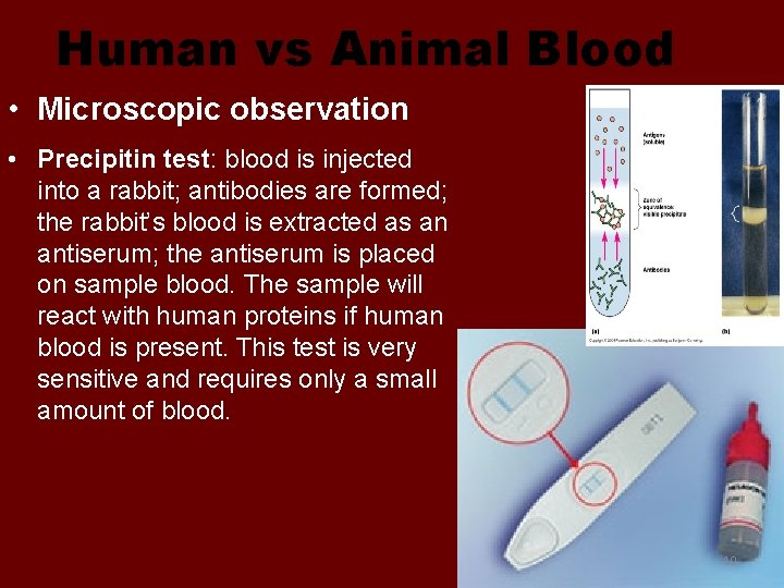 Human vs Animal Blood • Microscopic observation • Precipitin test: blood is injected into