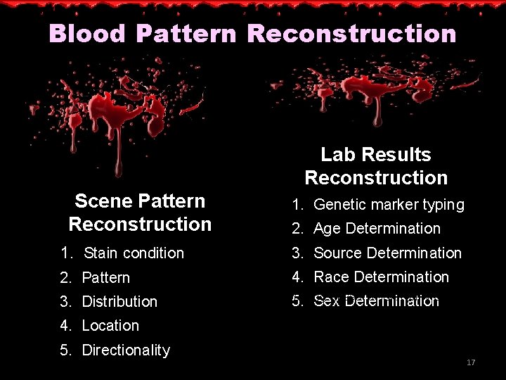 Blood Pattern Reconstruction Lab Results Reconstruction Scene Pattern Reconstruction 1. Genetic marker typing 2.