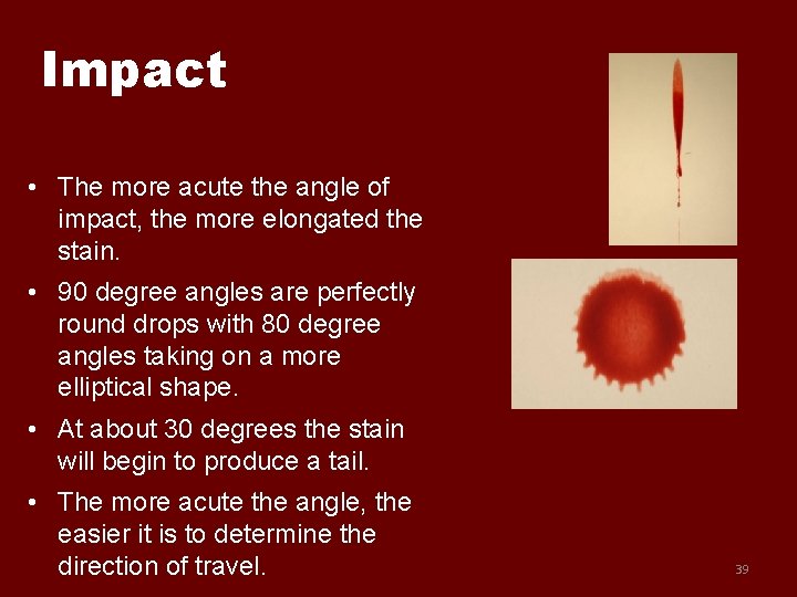 Impact • The more acute the angle of impact, the more elongated the stain.