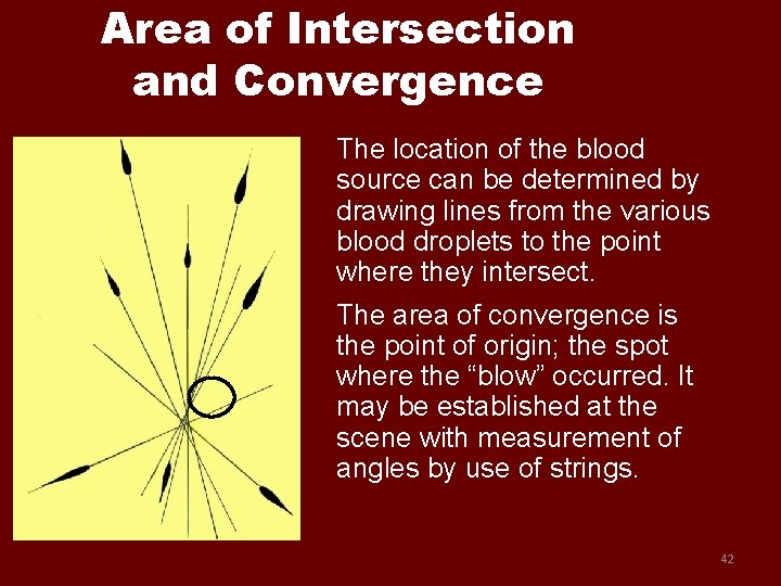 Area of Intersection and Convergence The location of the blood source can be determined