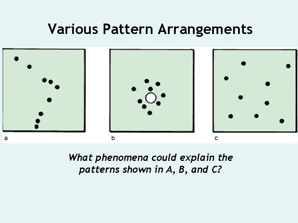Various Pattern Arrangements What phenomena could explain the patterns shown in A, B, and