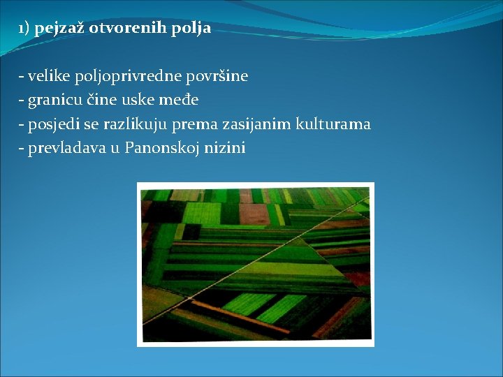 1) pejzaž otvorenih polja - velike poljoprivredne površine - granicu čine uske međe -