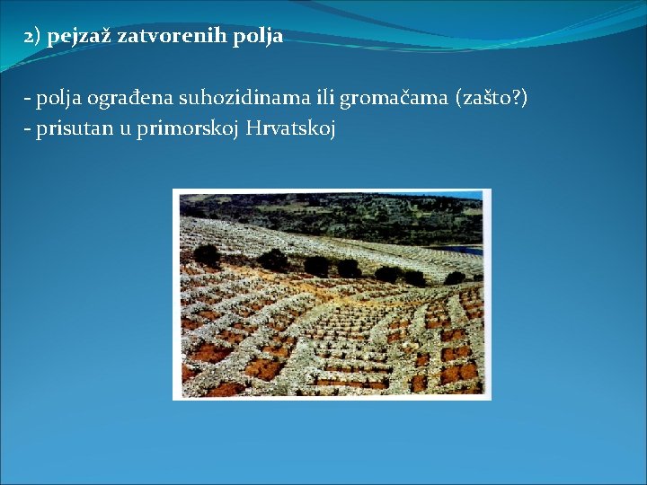 2) pejzaž zatvorenih polja - polja ograđena suhozidinama ili gromačama (zašto? ) - prisutan